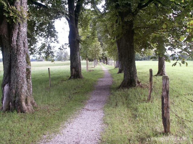 Weg zum Aussichtspunkt Emilsruh